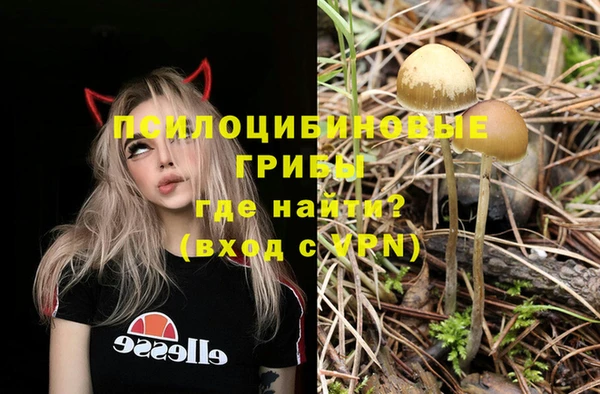 шишки Алзамай