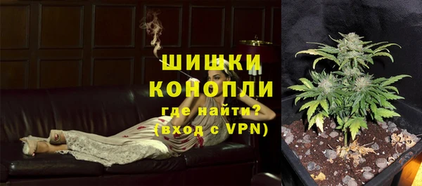 шишки Алзамай