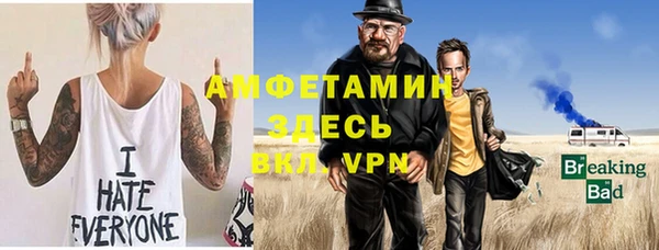 шишки Алзамай
