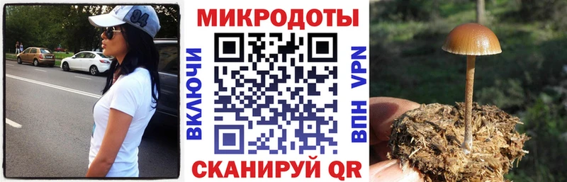 Псилоцибиновые грибы ЛСД Гусь-Хрустальный